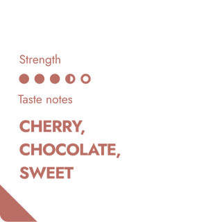 Kaffee aus Guatemala | GUATEMALA SPECIALTY COFFEE BEANS