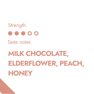 HONDURAS SPECIALTY COFFEE BEANS-1